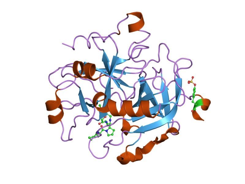 File:PDB 1ta6 EBI.jpg