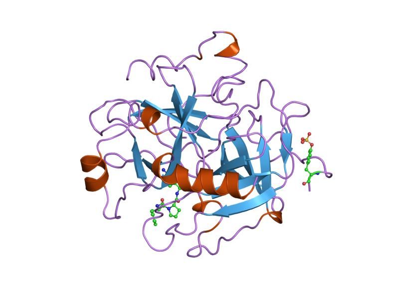 File:PDB 1tom EBI.jpg