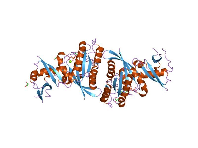 File:PDB 2c5l EBI.jpg