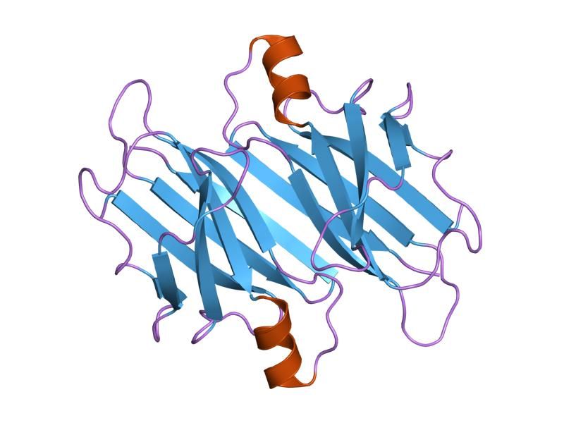 File:PDB 2pab EBI.jpg