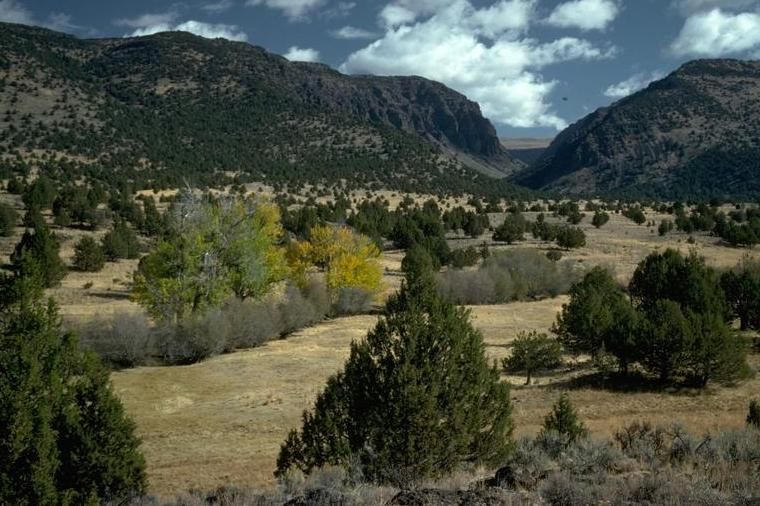 File:Riddle Ranch, Little Blitzen Valley, Oregon, BLM.jpg