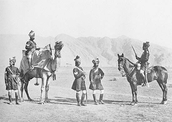 File:Sindhhorse.jpg