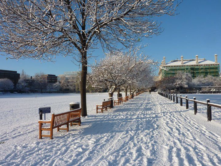 File:Tcd-snow.jpg