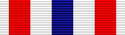 File:USA - SD Medal of Valor.png