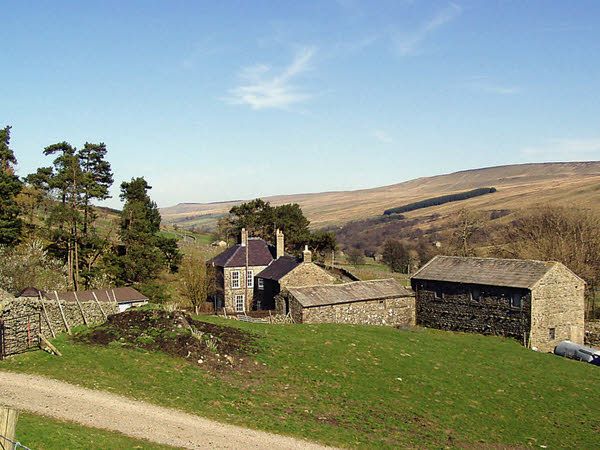 File:Woodale - geograph.org.uk - 1411686.jpg