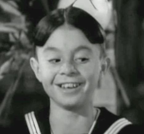 File:Alfalfa gip.jpg