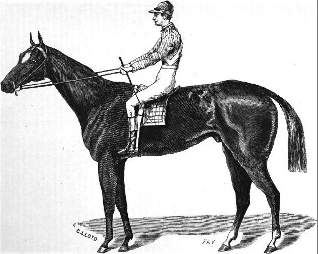 File:Aristides (horse).jpg