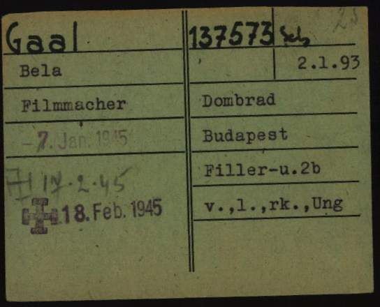 File:Béla Gaál Dachau Arolsen Archives.jpg