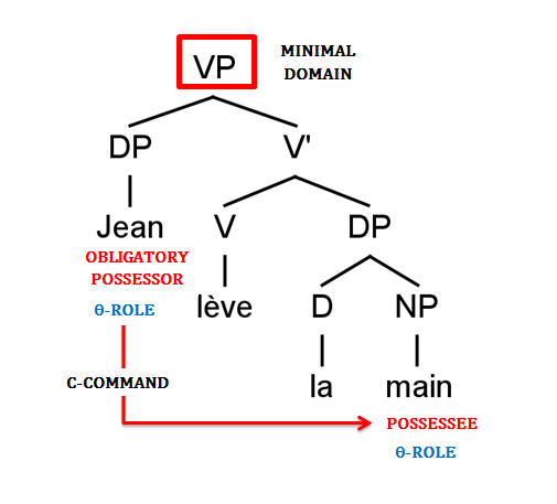 File:Binding between possessor and possessee.PNG