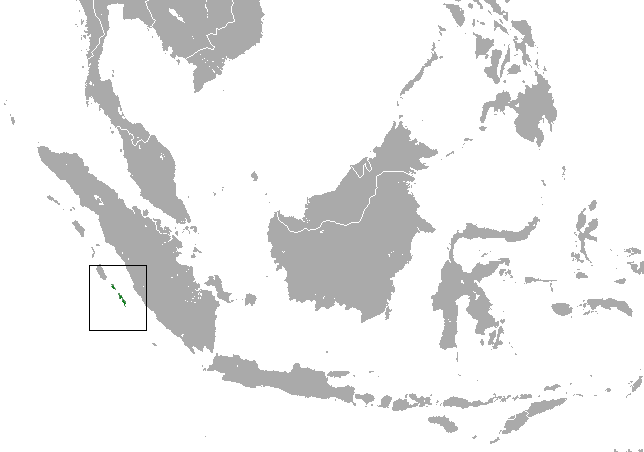 File:Golden-bellied Treeshrew area.png