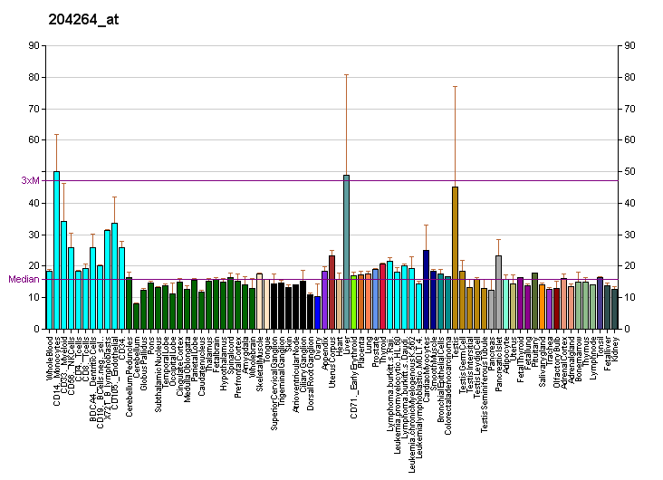 File:PBB GE CPT2 204264 at fs.png