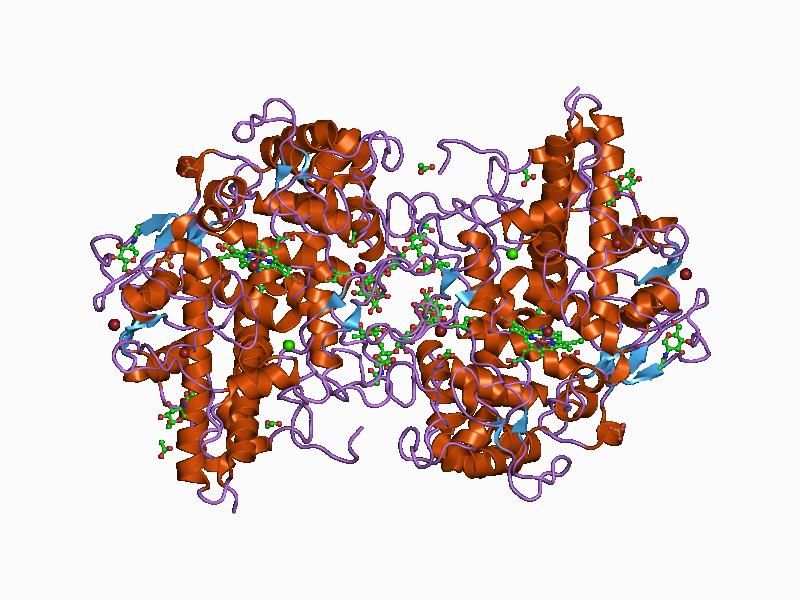 File:PDB 1d7w EBI.jpg