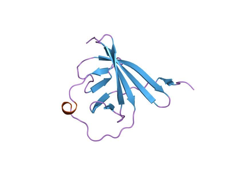 File:PDB 1jsg EBI.jpg