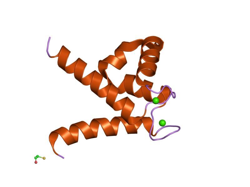 File:PDB 1k96 EBI.jpg