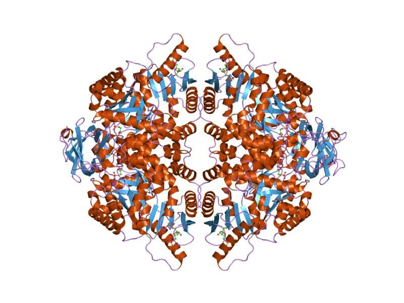 File:PDB 1liw EBI.jpg