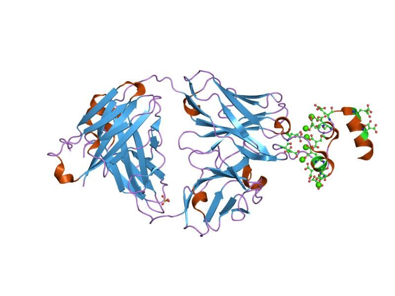 File:PDB 1nl0 EBI.jpg