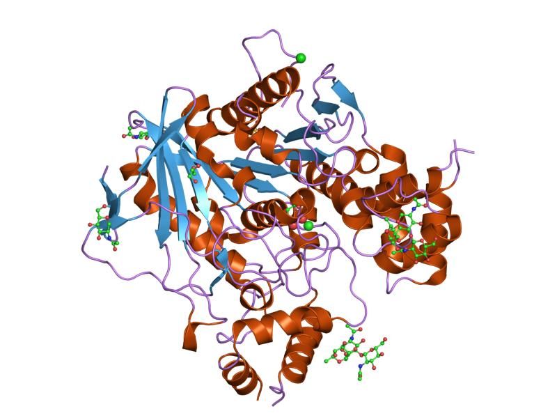 File:PDB 1p0q EBI.jpg