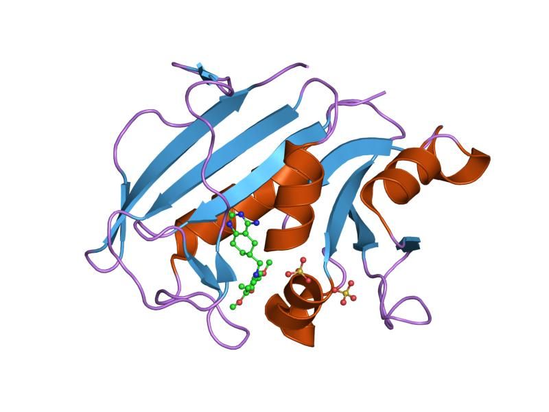 File:PDB 1s3v EBI.jpg