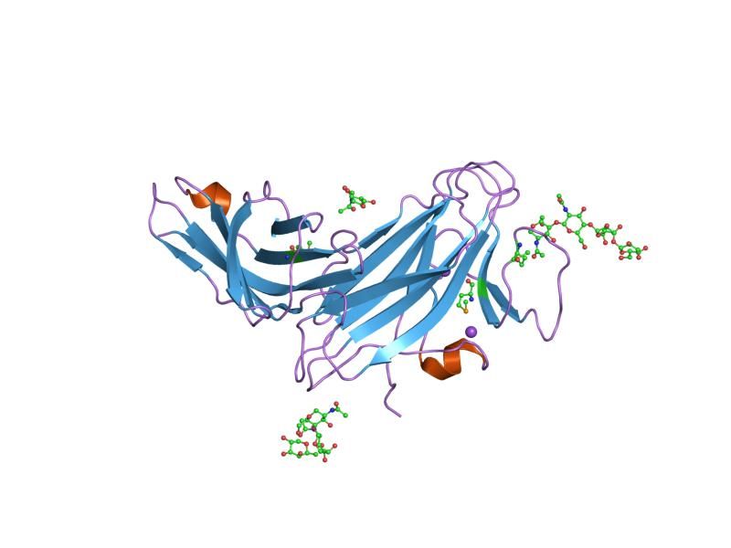 File:PDB 2c9a EBI.jpg