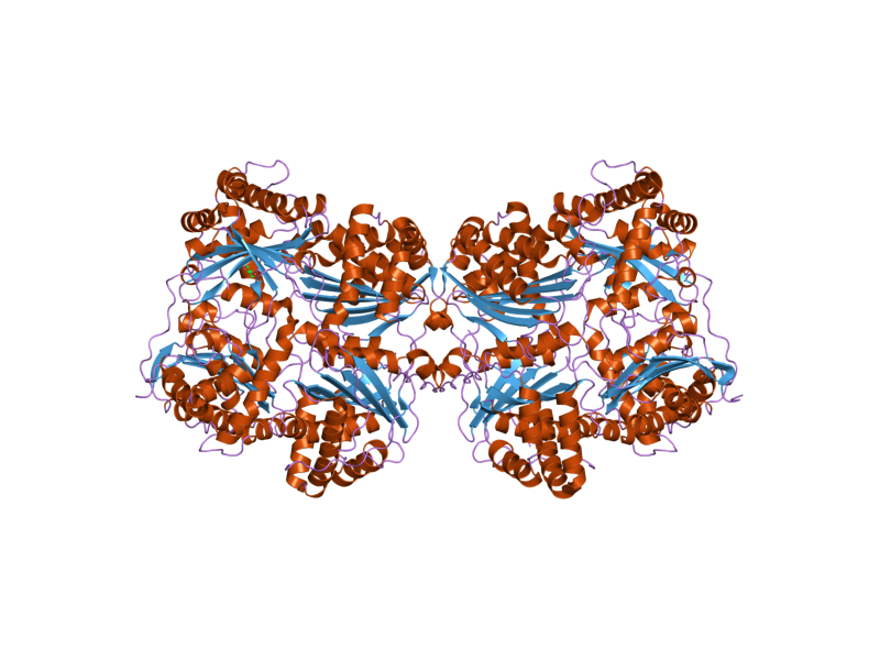 File:PDB 2g48 EBI.png