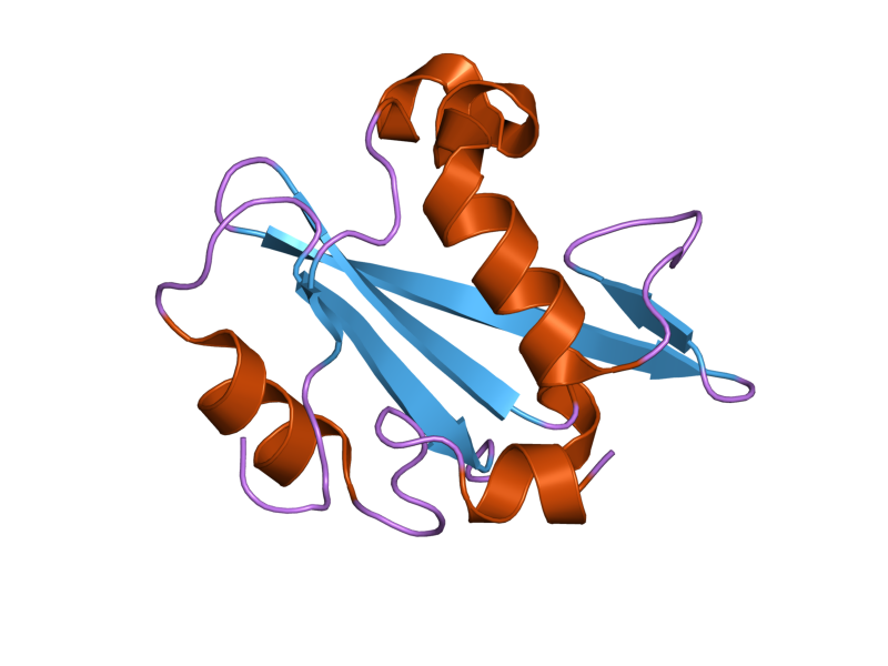 File:PDB 2iug EBI.png