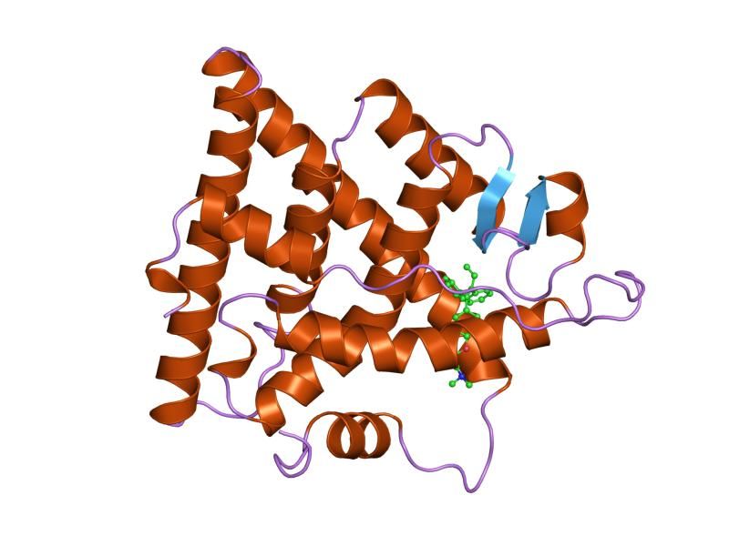 File:PDB 3ert EBI.jpg