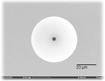 Scanning electron microscope image of a planar patch clamp chip. Both the pipette and the chip are made from borosilicate glass.