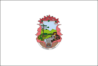 File:Vila Floresrsbandeira.png