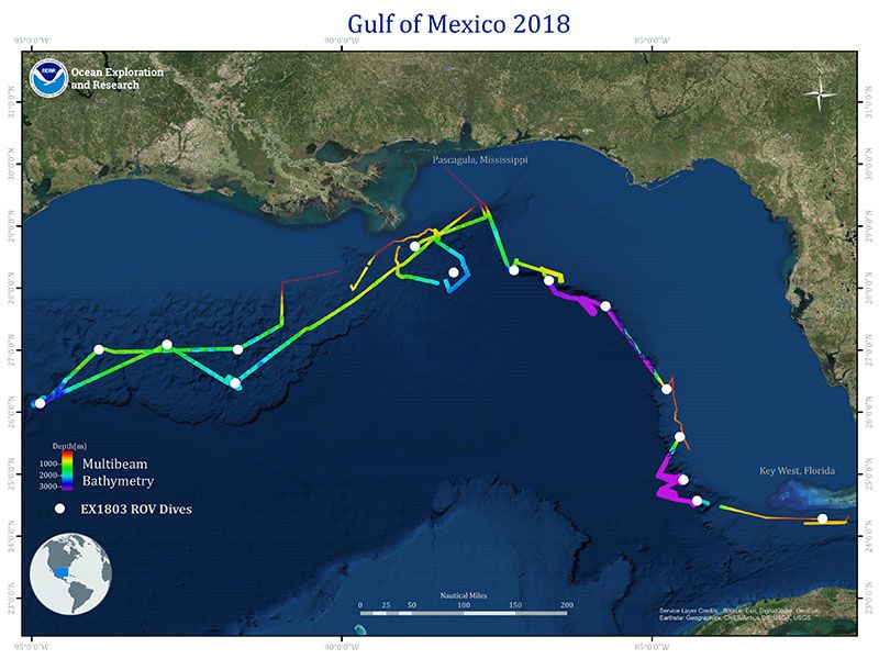 File:2018 Gulf of Mexico NOAA Expedition.jpg