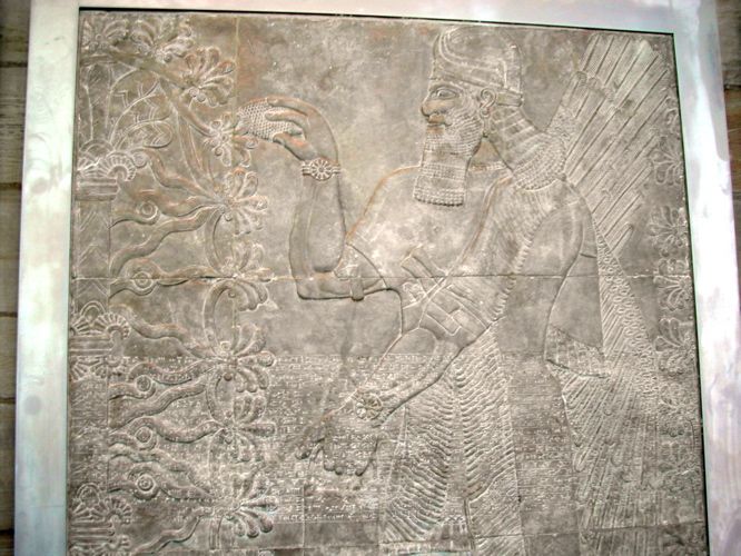 File:Assyrian Genie - Yale University Art Gallery.jpg