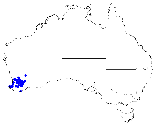 File:Boronia capitata DistMap20.png