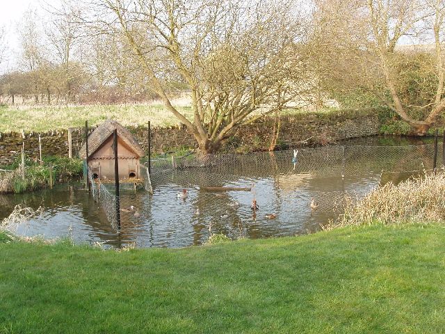 File:Duck pond - geograph.org.uk - 387627.jpg