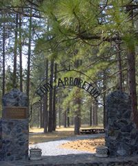 File:Eddy Arboretum, California.jpg