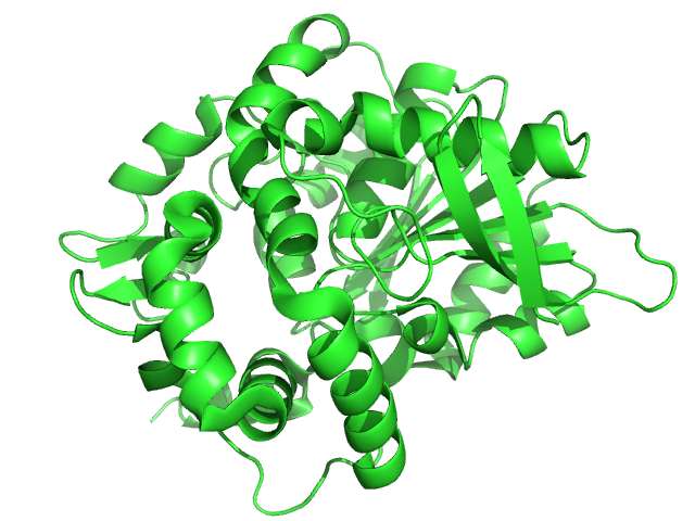 File:Epoxide Hydrolase B (2E3J).png