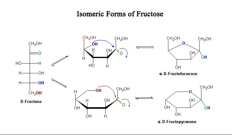 File:Fructose-isomers.jpg