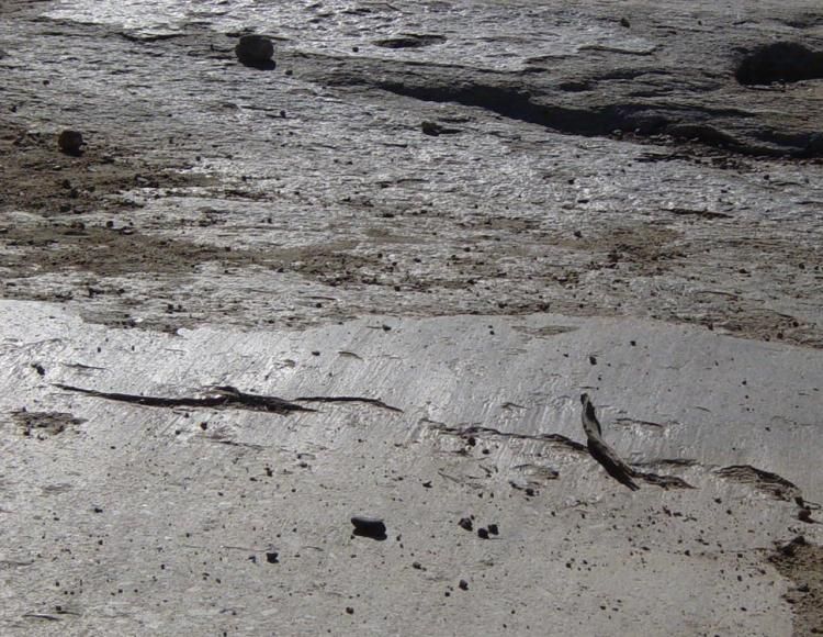 File:Glacial striations and polish near Lambert Dome-750px.jpg