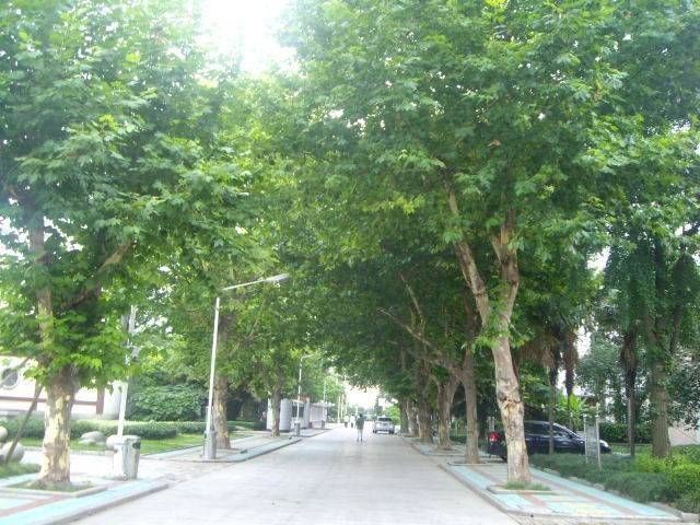 File:Main Road (old).jpg