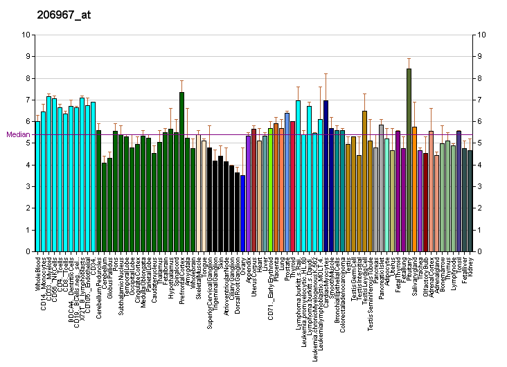 File:PBB GE CCNT1 206967 at fs.png