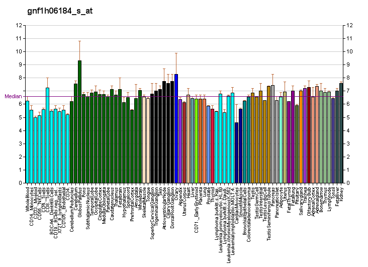 File:PBB GE SLC2A12 gnf1h06184 s at fs.png