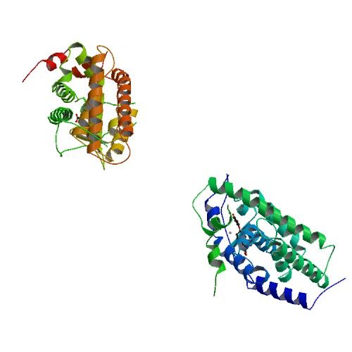 File:PBB Protein THRB image.jpg