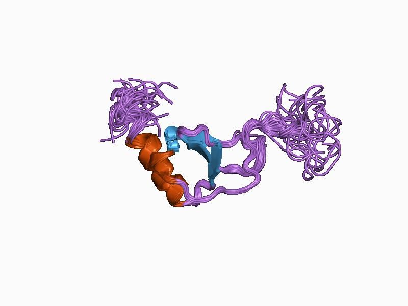 File:PDB 1b2t EBI.jpg