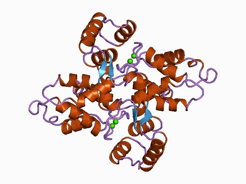 File:PDB 1bjf EBI.jpg