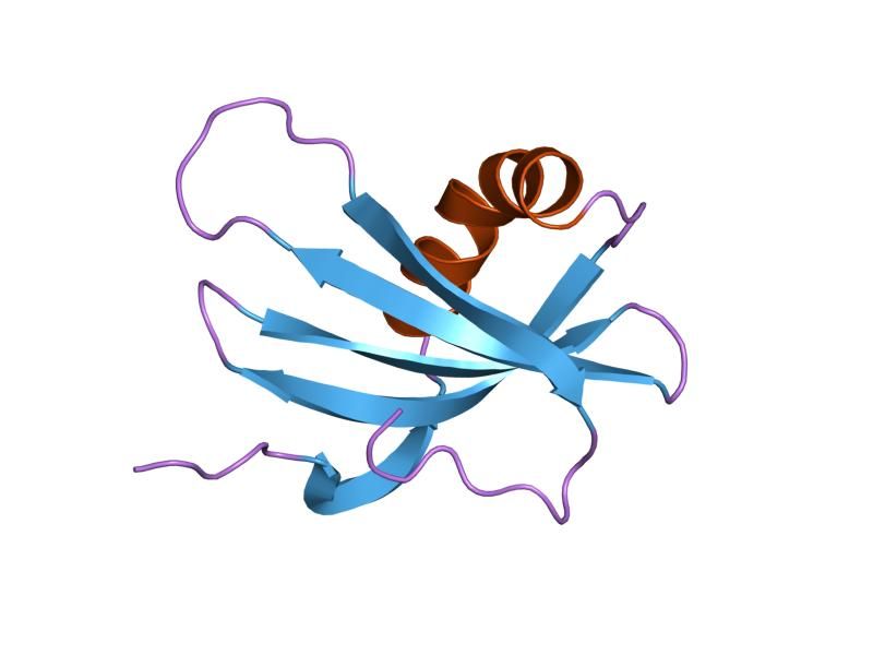 File:PDB 1dvc EBI.jpg