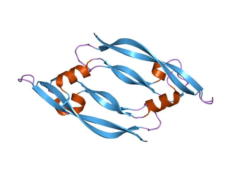 File:PDB 1mkk EBI.jpg