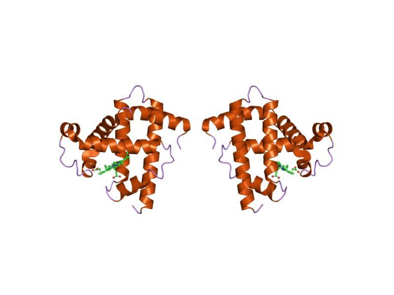 File:PDB 1mnk EBI.jpg