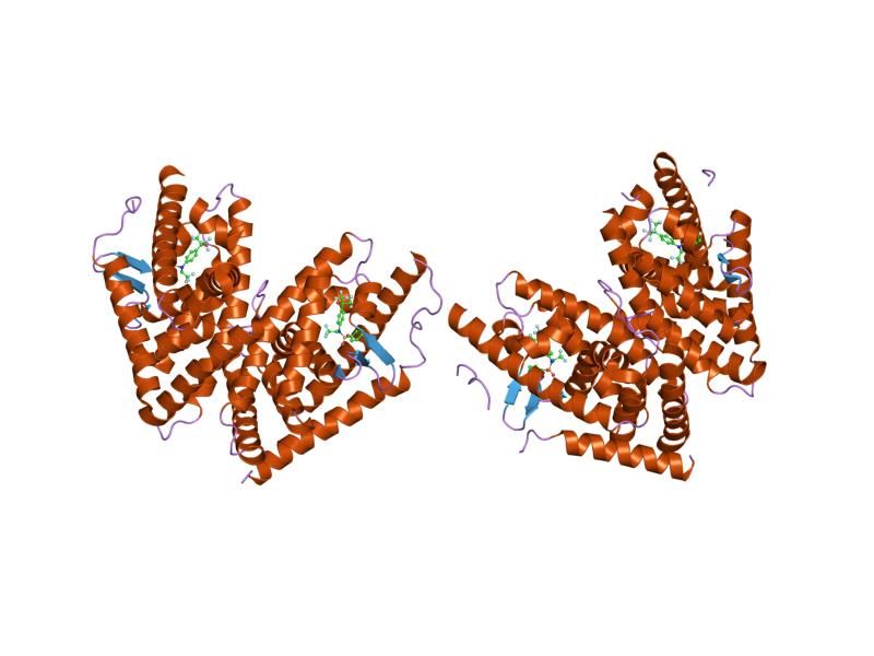 File:PDB 1pqc EBI.jpg