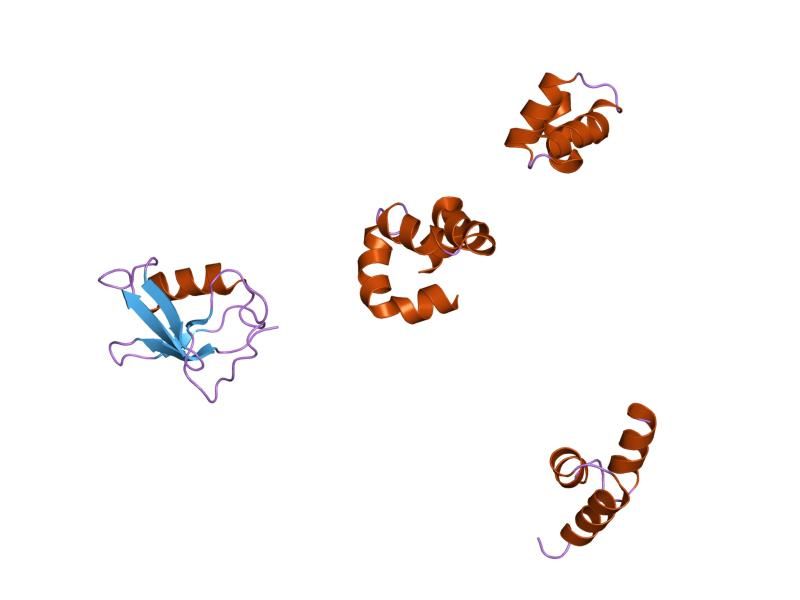 File:PDB 1qze EBI.jpg