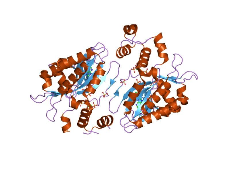 File:PDB 1w2c EBI.jpg