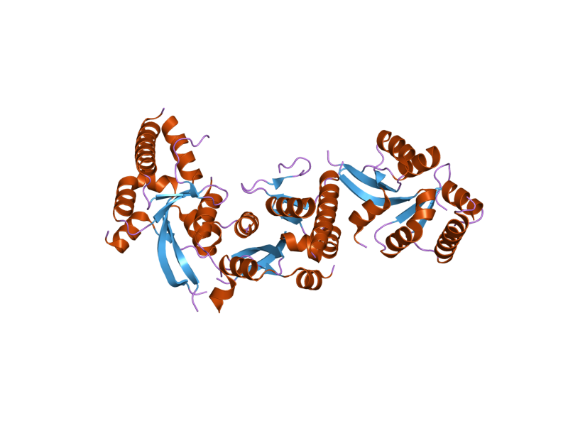 File:PDB 2hww EBI.png