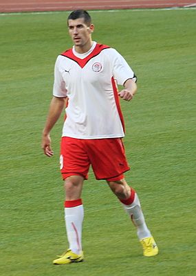 File:Stevica Ristić IMG 3522.jpg